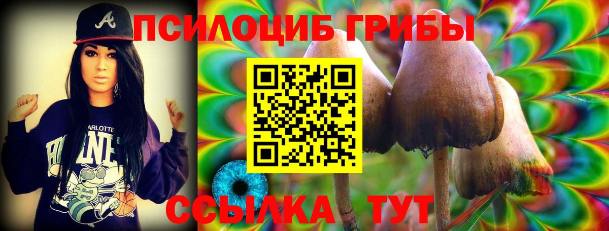 Галлюциногенные грибы Magic Shrooms Тайшет